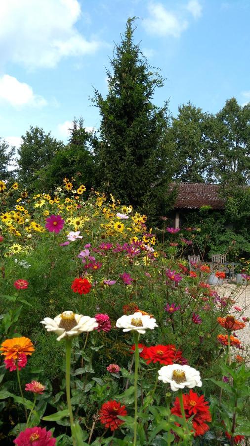 B&B Het Mooie Uitzicht Reuver 외부 사진