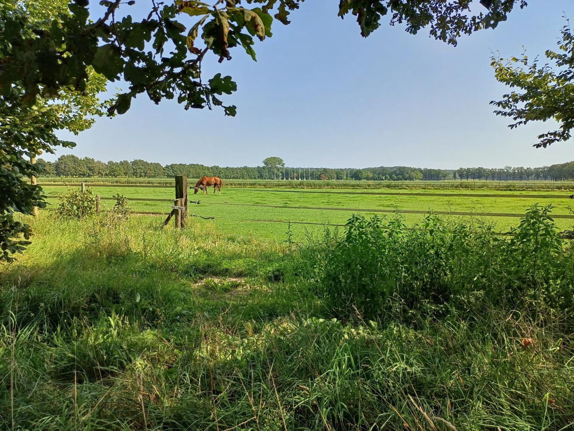 B&B Het Mooie Uitzicht Reuver 외부 사진